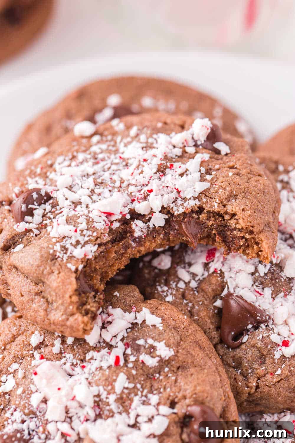 a chocolate peppermint cookie with a bite out of it