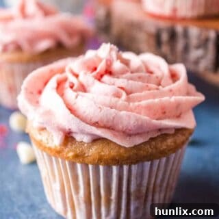 A cupcake on a blue background.