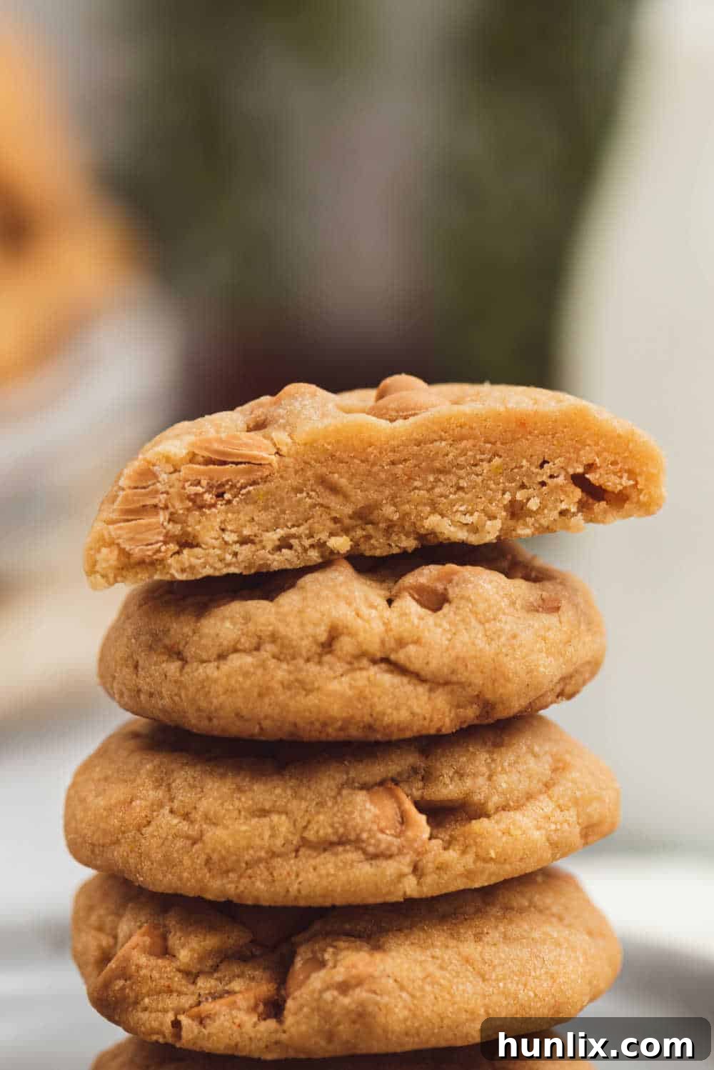A stack of butterscotch pudding cookies, beautifully presented to emphasize their enticing texture and golden color.