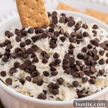 The dip in a bowl with a graham cracker in it.