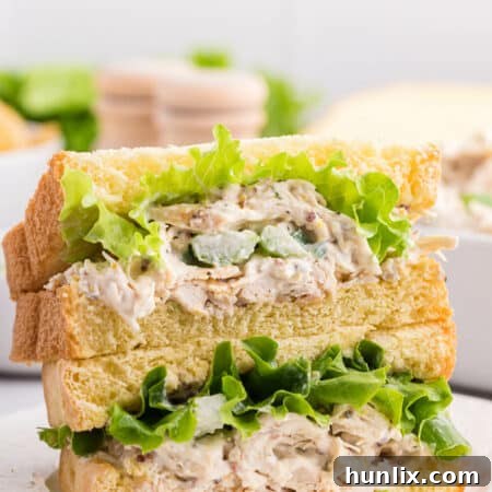 Creamy Homestyle Chicken Salad 11 A serving of Classic Chicken Salad in a bowl.