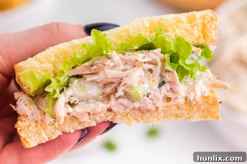 Creamy Homestyle Chicken Salad 10 A hand holding a perfectly made chicken salad sandwich.