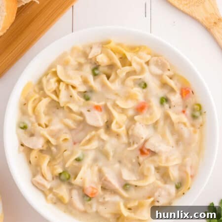 A delicious bowl of creamy chicken noodle soup, garnished and ready to be served.