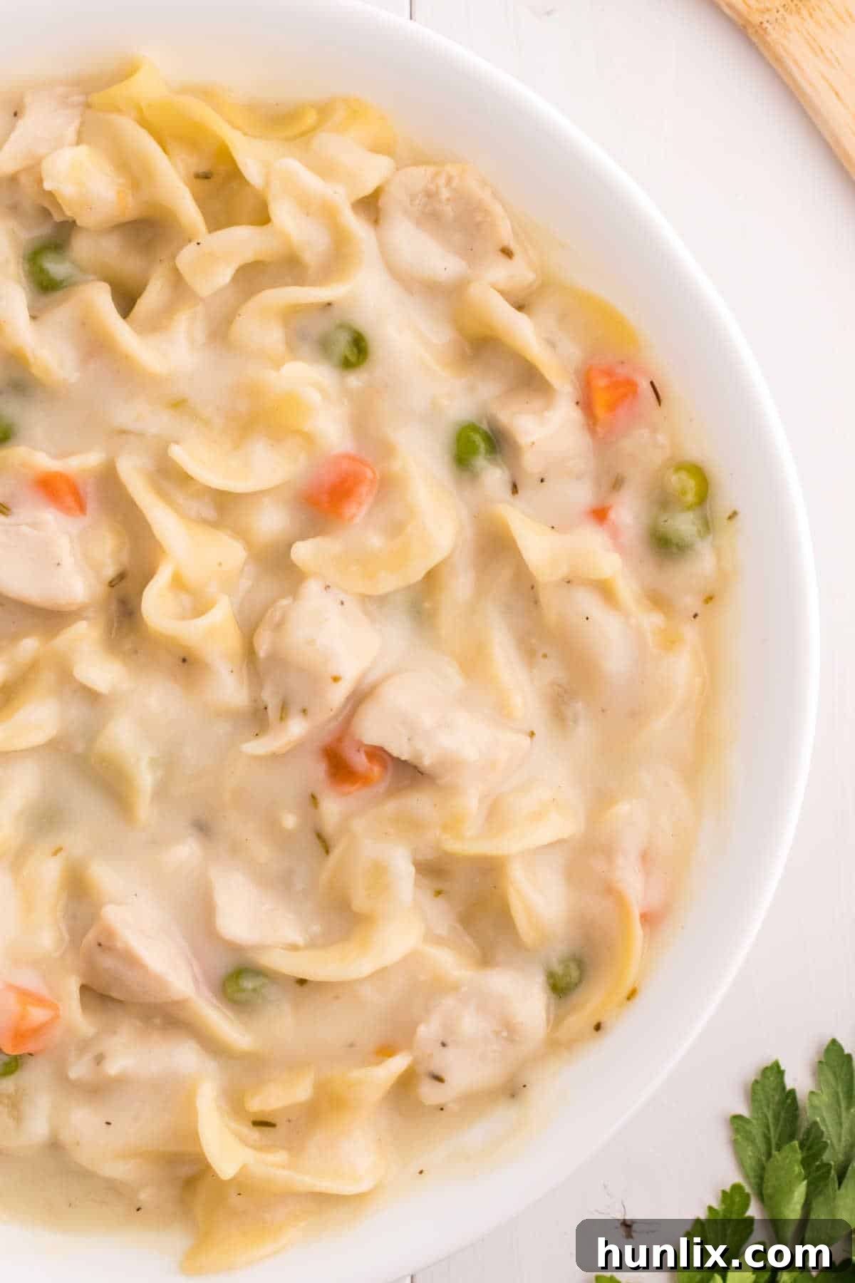 A inviting bowl of creamy chicken noodle soup, garnished with green herbs, ready to be enjoyed as a comforting meal.