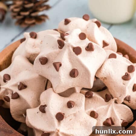 Double Chocolate Meringue Cookies
