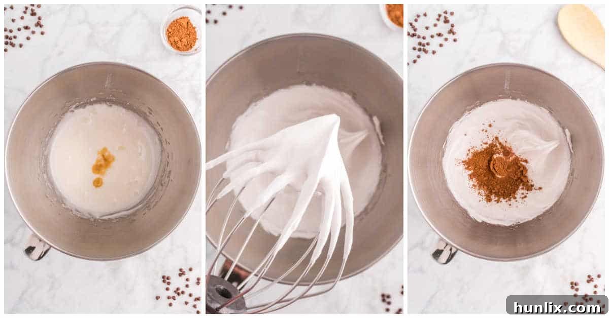 Decadent Double Chocolate Meringues 5 Steps to make double chocolate meringue cookies.