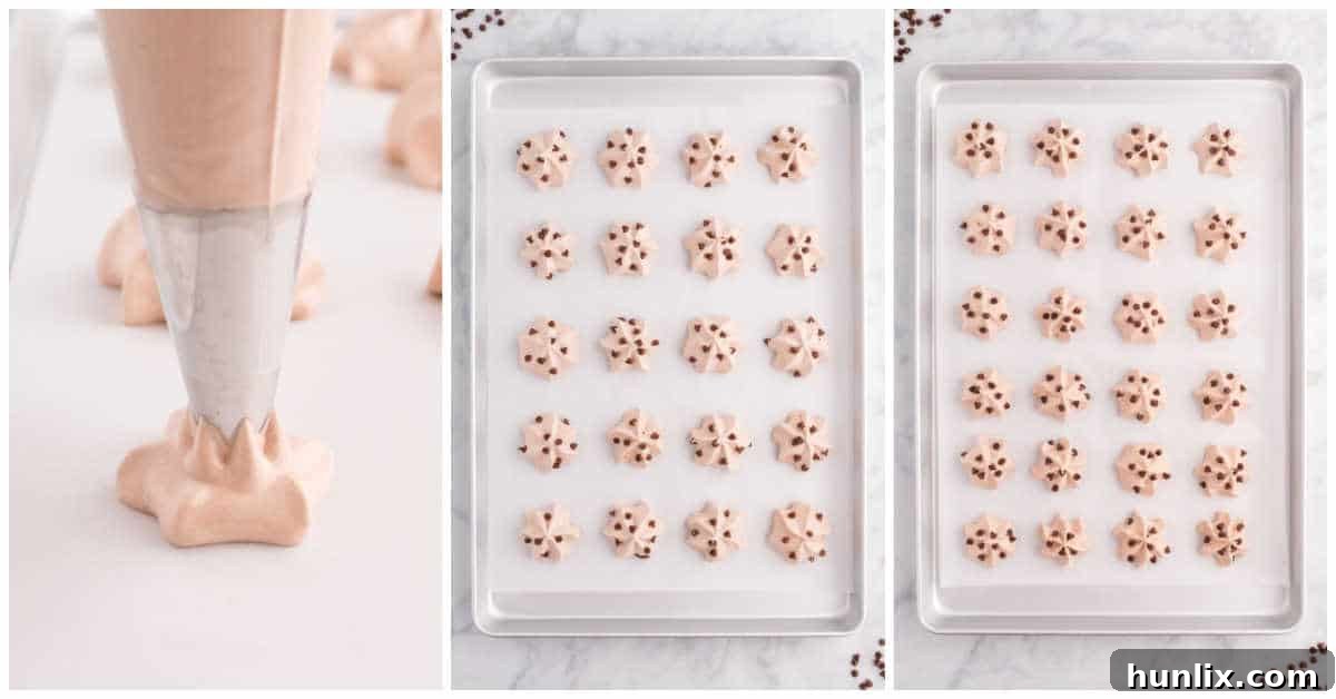 Decadent Double Chocolate Meringues 6 Steps to make double chocolate meringue cookies.