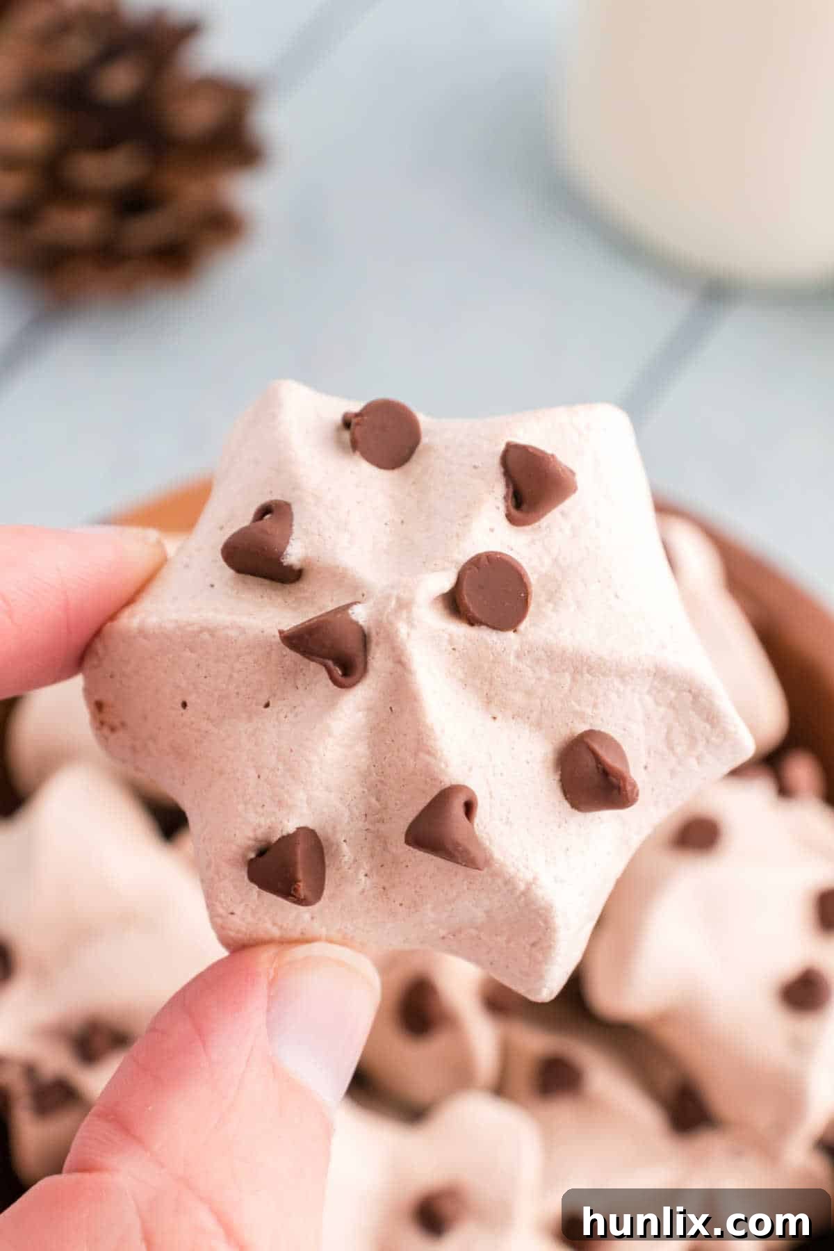 Decadent Double Chocolate Meringues 9 A hand holding a double chocolate meringue cookie.