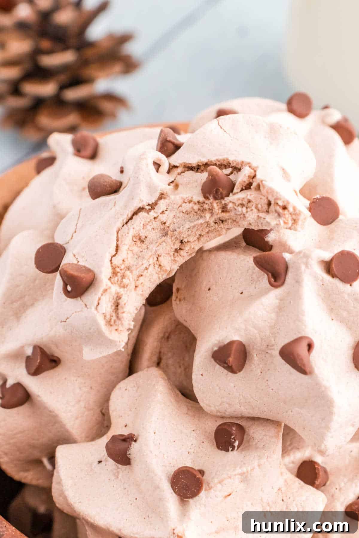 Decadent Double Chocolate Meringues 10 A pile of double chocolate meringue cookies with a bite out of the top cookie.