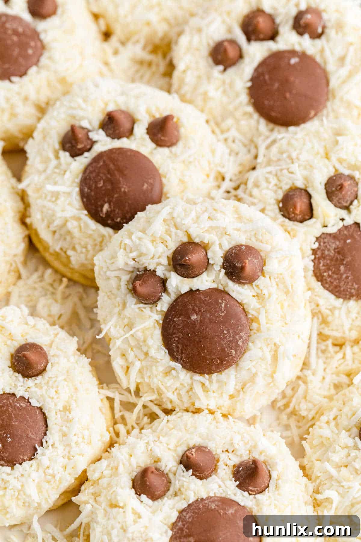 Adorable Bear Paw Cookies with coconut and chocolate details.