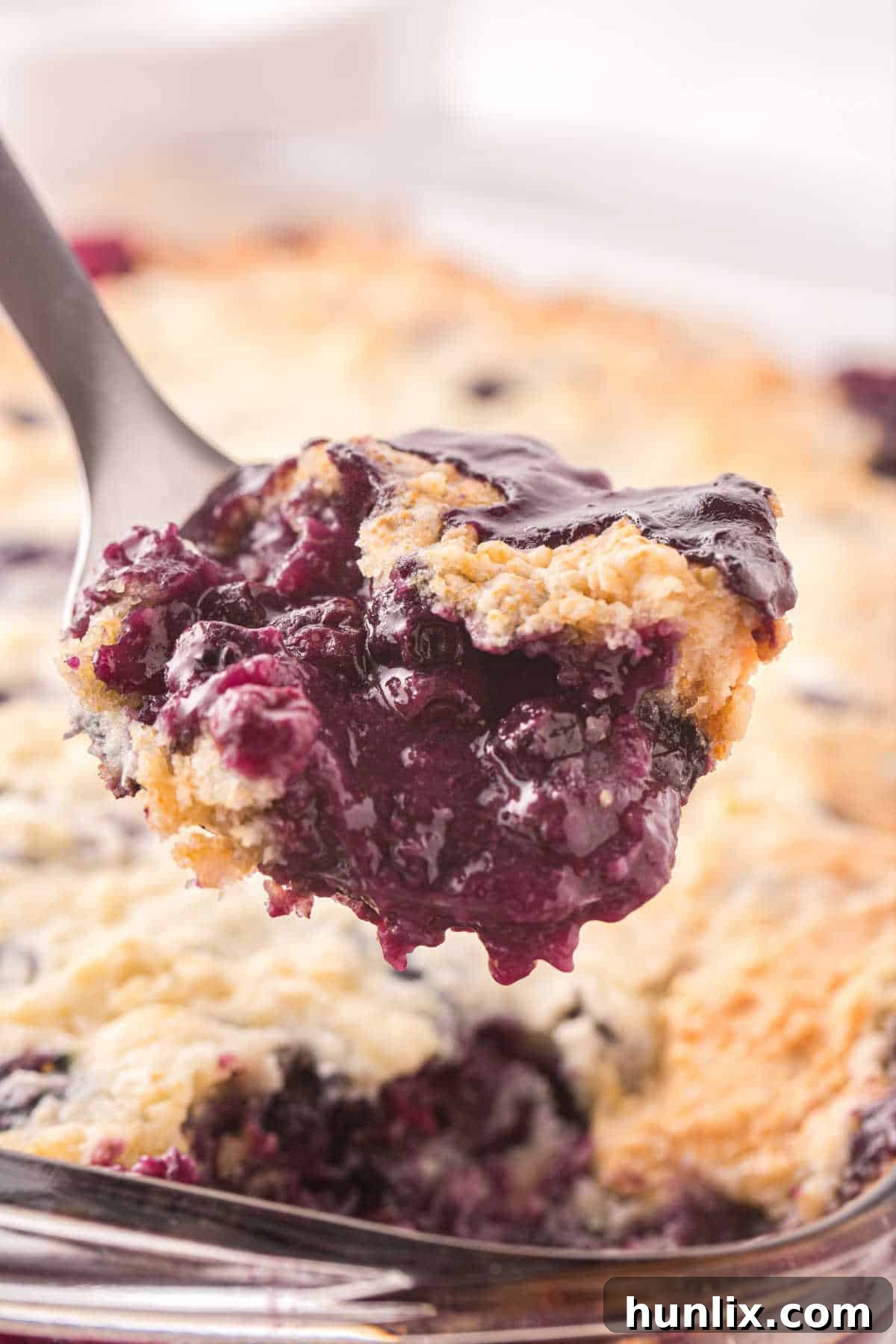 Bursting Blueberry Bliss 6 img 182837 5