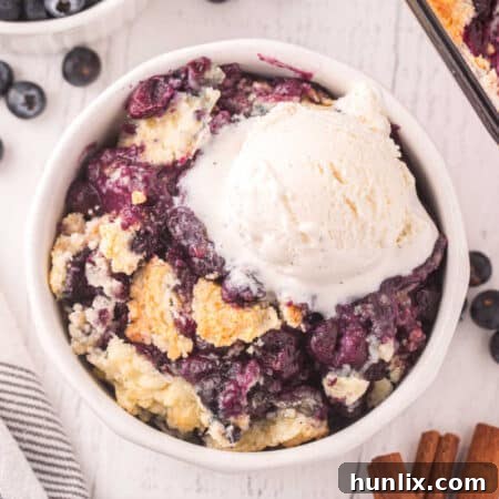 Blueberry Cobbler