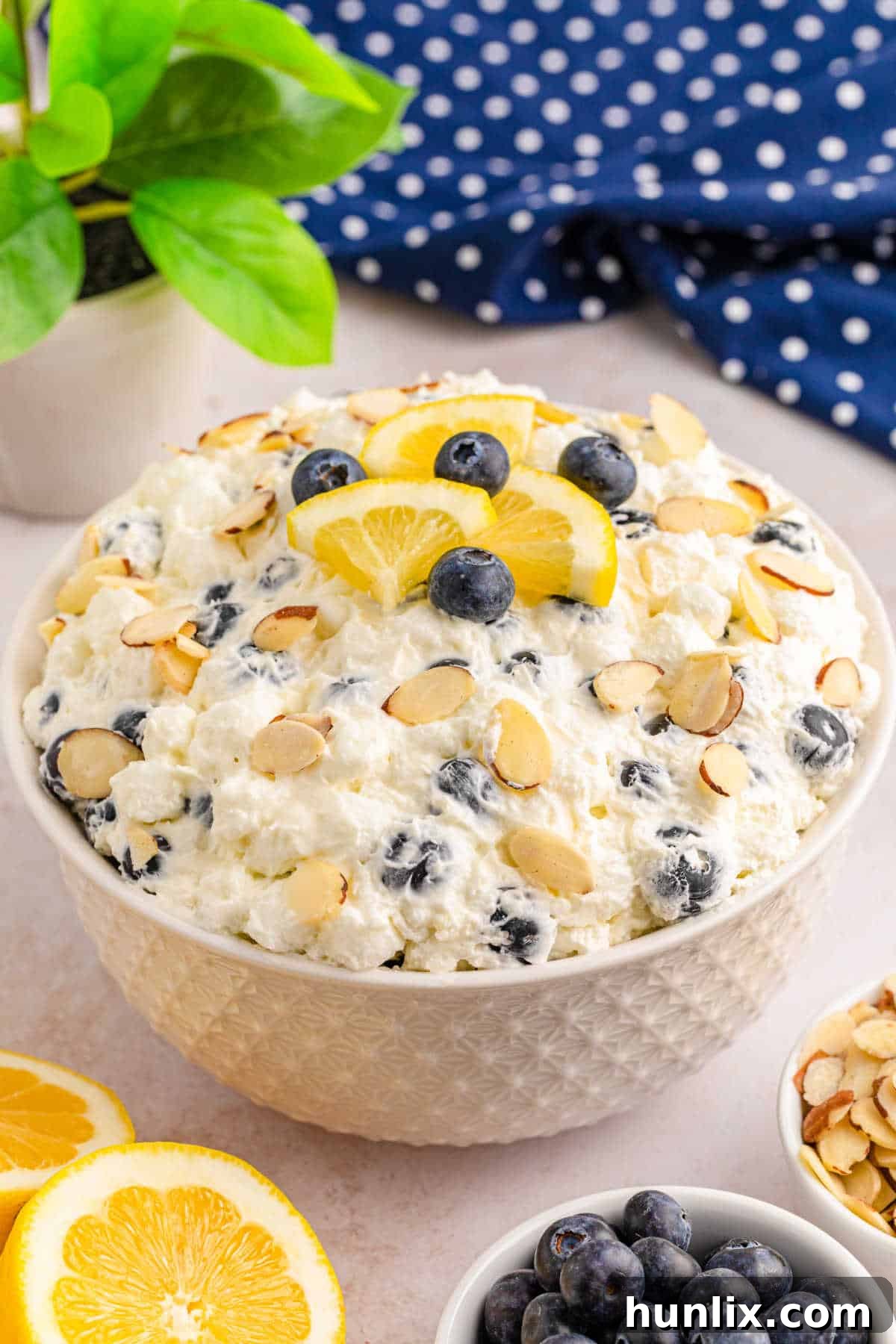 A beautifully presented bowl of creamy Lemon Blueberry Fluff, garnished with fresh blueberries and lemon zest, ready to be served.