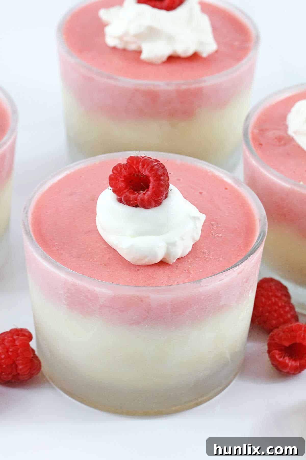 Delightful Raspberry Cheesecake Cups in elegant serving containers.