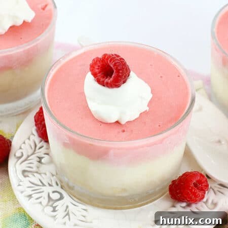 Raspberry Cheesecake Cups