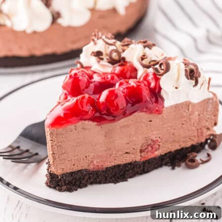 A beautifully presented slice of No-Bake Black Forest Cheesecake.