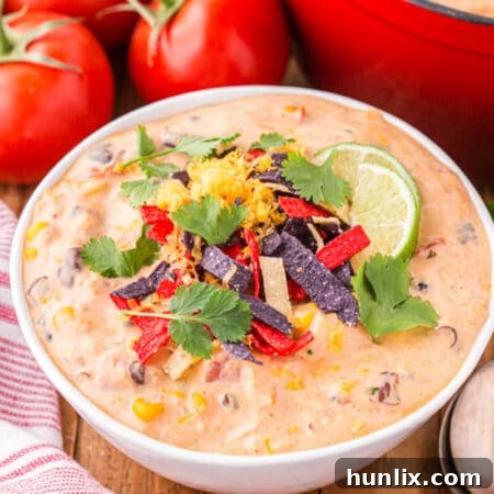 Chicken Enchilada Soup in a rustic bowl with toppings