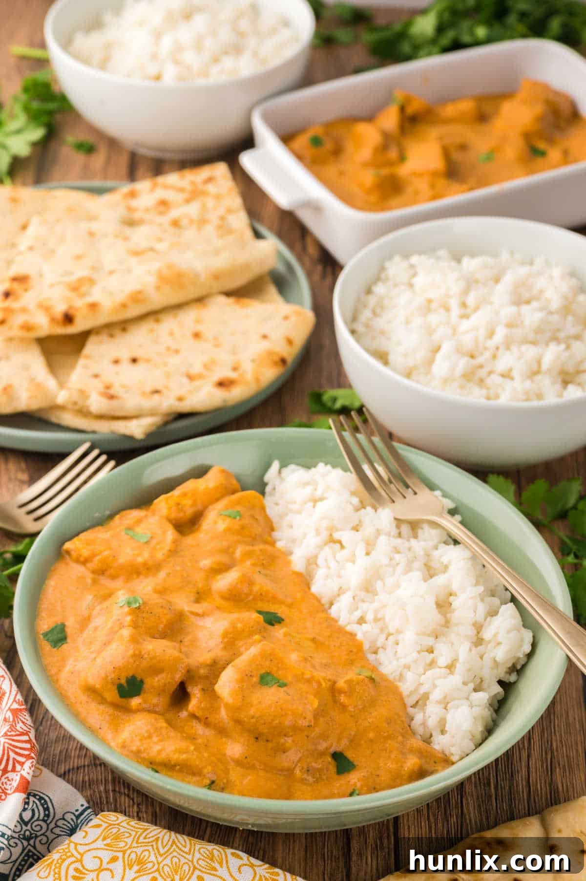 Butter chicken and rice on a plate.