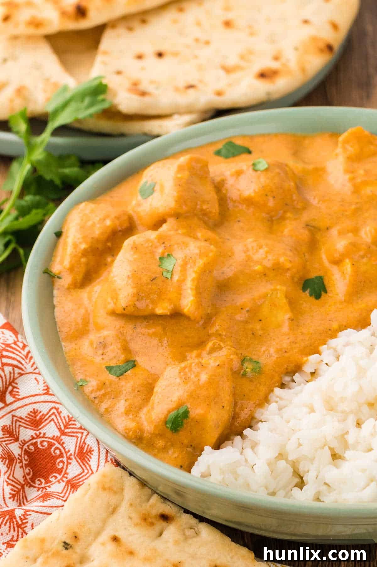 Butter chicken with rice on a plate.