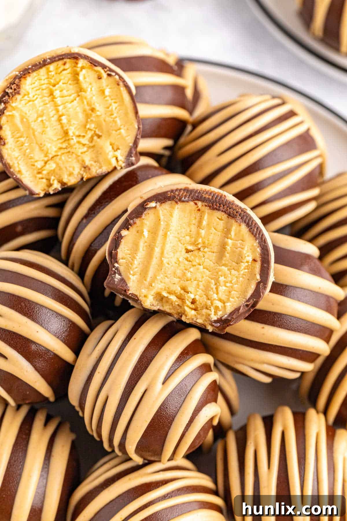 Choco-Peanut Butter Bliss Balls 10 Close up of the recipe.