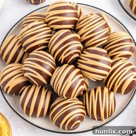 Choco-Peanut Butter Bliss Balls 12 The recipe on a plate.