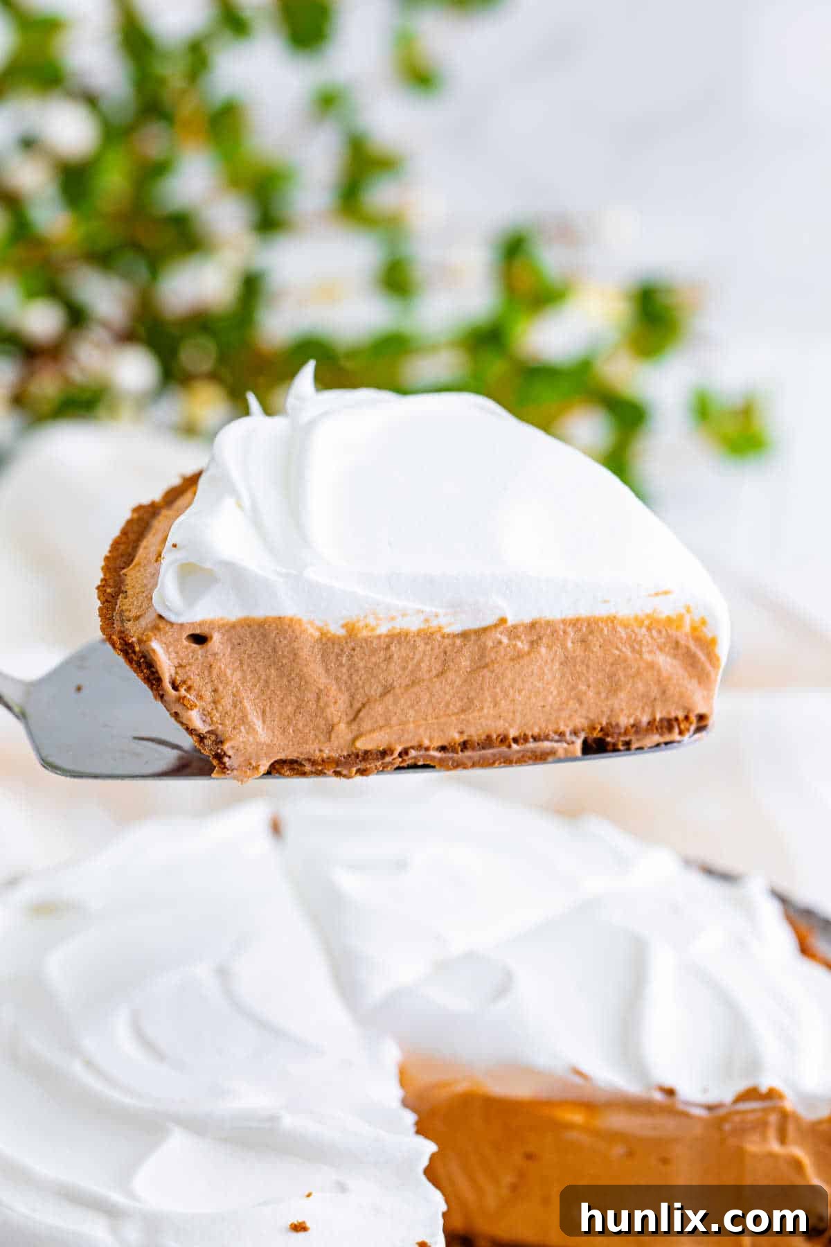 Heavenly Chocolate Peanut Butter Indulgence 8 A pristine slice of chocolate peanut butter pie, garnished with a dusting of cocoa, presented on a white serving spatula, ready to be enjoyed.