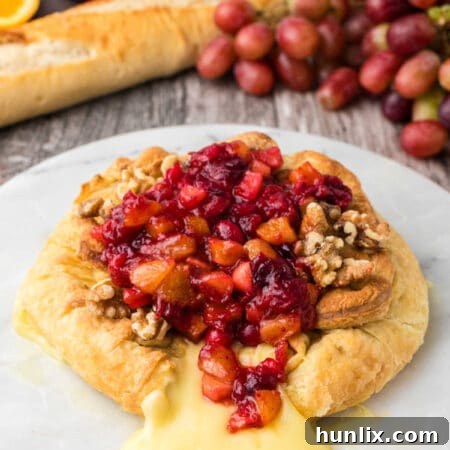 Beautifully baked brie on a plate, surrounded by fresh fruit, ready to be served as an appetizer.