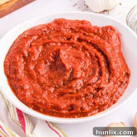 The recipe in a bowl, showcasing the rich color and smooth texture of the sauce.