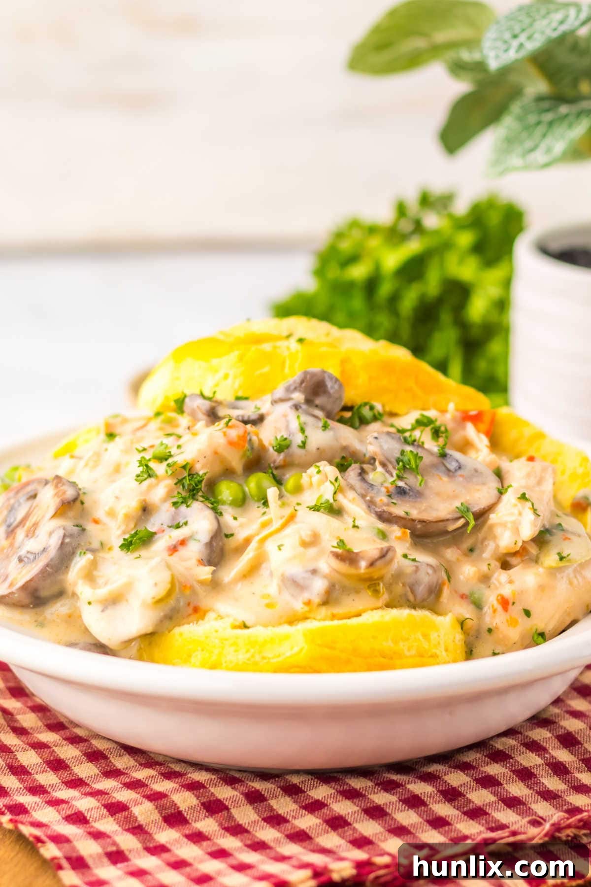 Effortless Slow Cooker Turkey a la King 7 A plate with biscuits and the recipe on top.