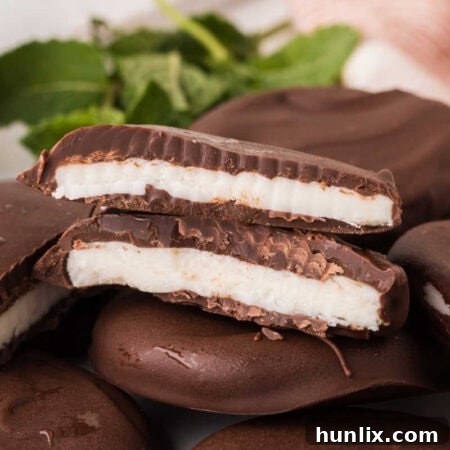 A group of beautifully presented homemade peppermint patties, showcasing their dark chocolate coating and creamy mint centers.