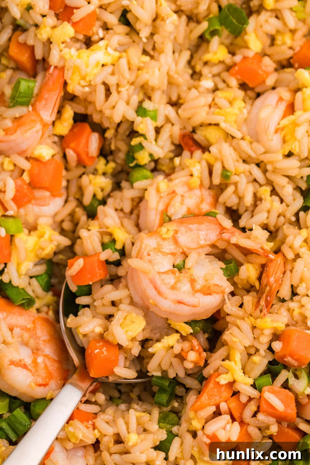 A serving of shrimp fried rice in a bowl, with a spoon ready for enjoyment.