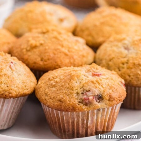 A plate of freshly baked rhubarb muffins, showcasing their golden tops and tender interior.