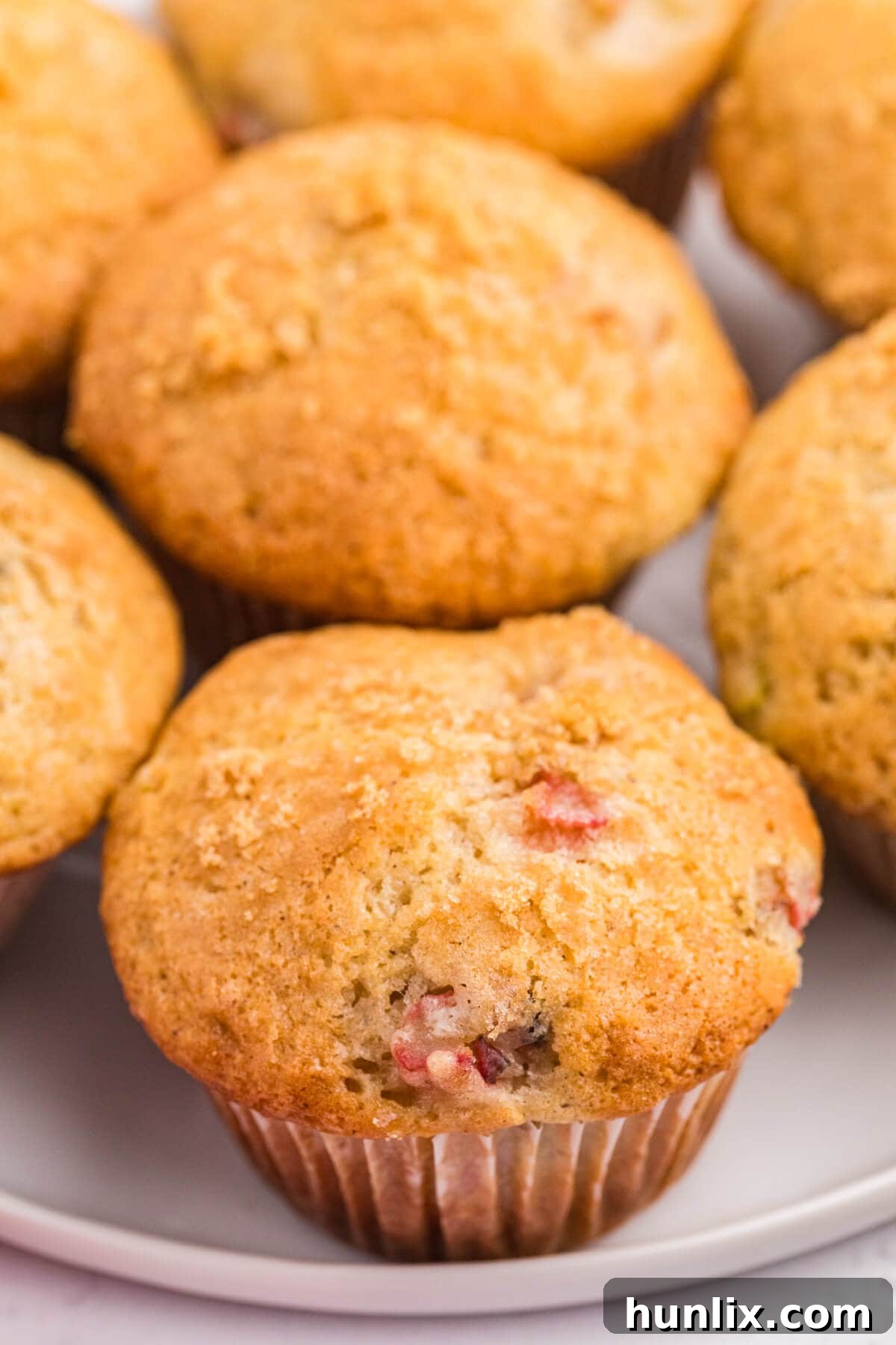 A freshly baked rhubarb muffin on a plate, ready to be eaten.