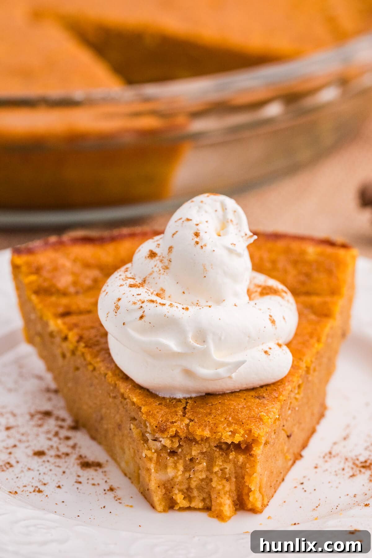 A piece of pie on a plate with a bite off the end.