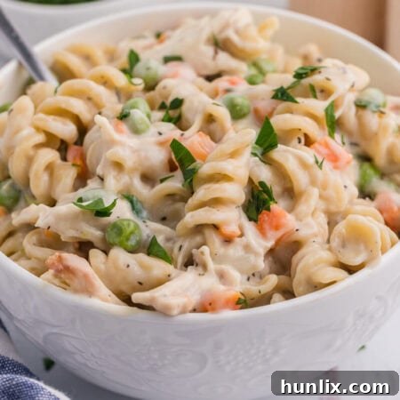 The recipe in a bowl with a spoon.