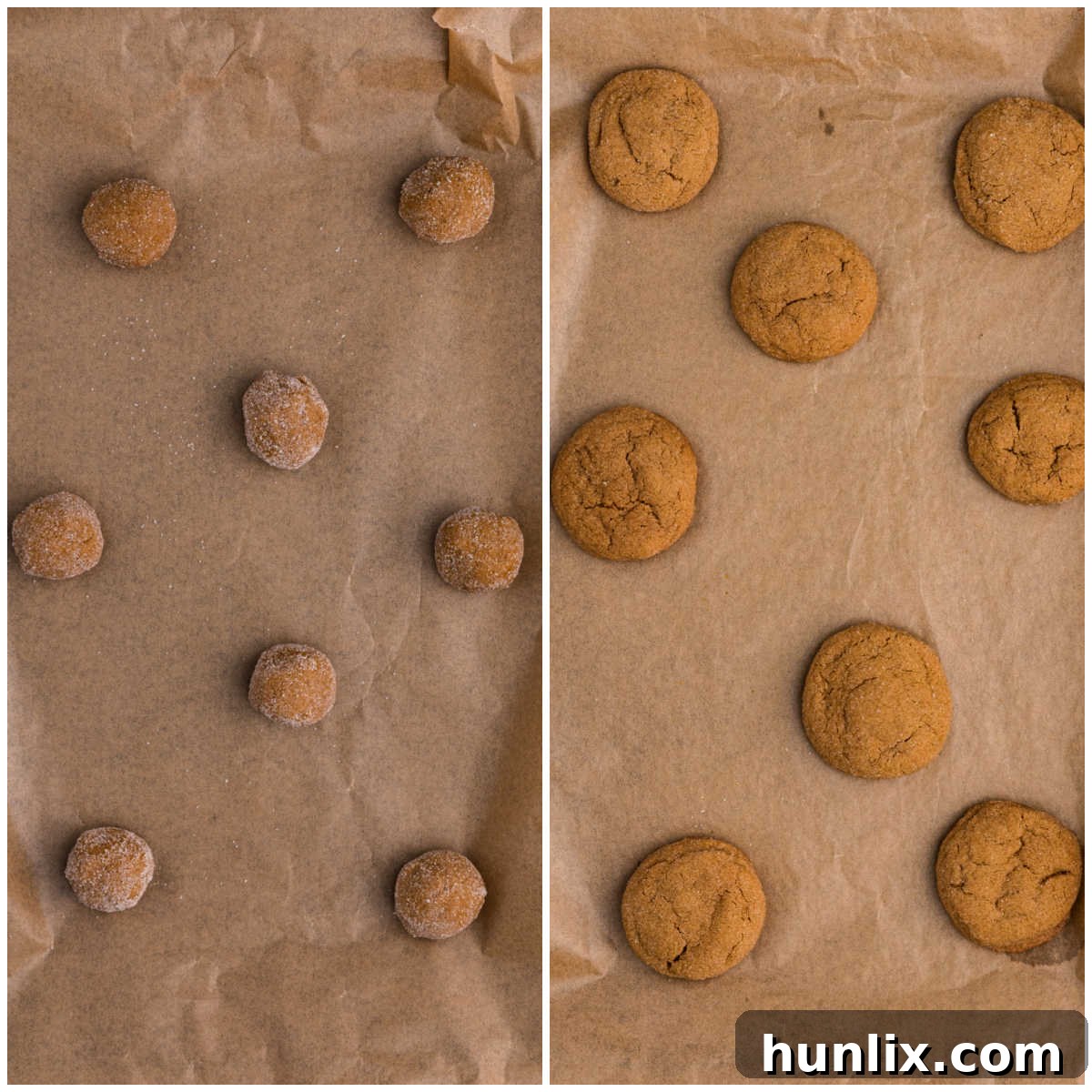 A collage showing cookie dough balls rolled in sugar and baked ginger molasses cookies on a baking sheet, ready for cooling.