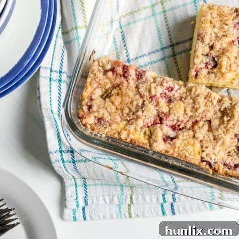Strawberry Rhubarb Crumb Cake, a dense and sweet early summer dessert with sour cream for richness.