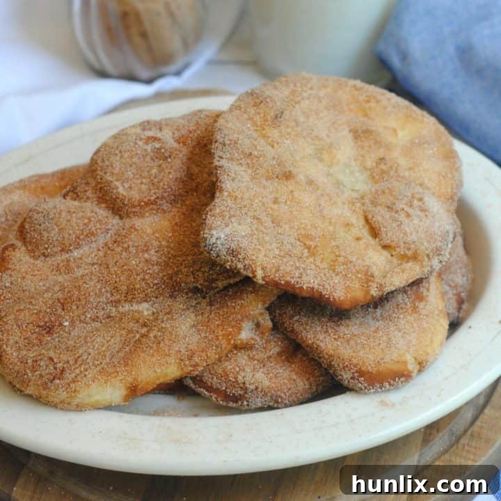 Canadian Fried Dough Pastry, also known as Elephant Ears, with a sweet vanilla and cinnamon flavor.