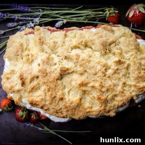Ultimate Strawberry Rhubarb Shortcake, a family recipe perfect for berry picking season, highlighting fresh fruit flavors.
