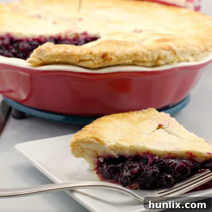 Rich and thick Saskatoon Berry Pie Filling and Sauce, cooked ahead for enhanced flavor.