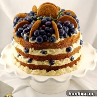 Old Fashioned Gingerbread Cake with Blueberry Cookie Butter Filling