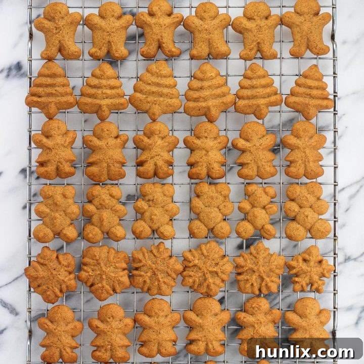 Easy Gingerbread Spritz Cookies