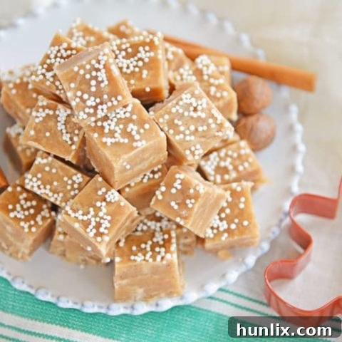 Rich Gingerbread Fudge squares