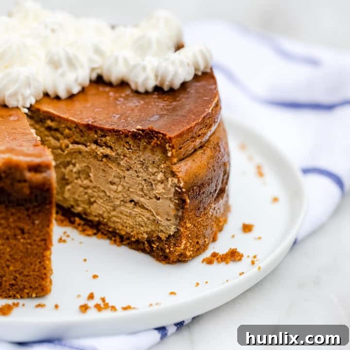 Creamy Gingerbread Cheesecake with speculoos crust