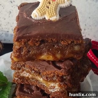 Brazilian-Style Gingerbread Cookie Bars with dulce de leche