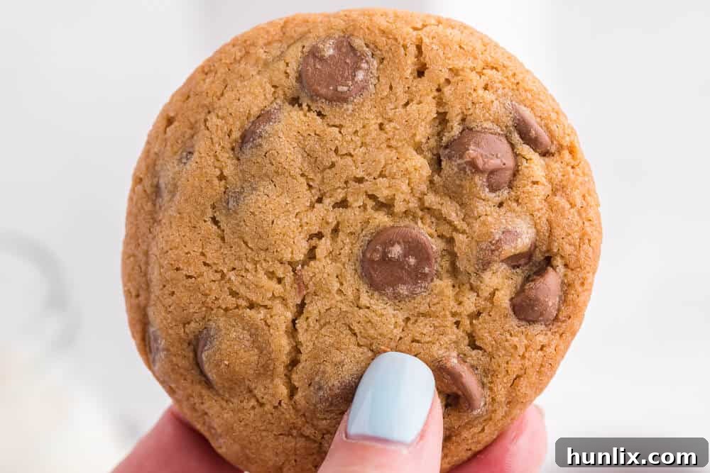 A hand holding a chocolate chip cookie
