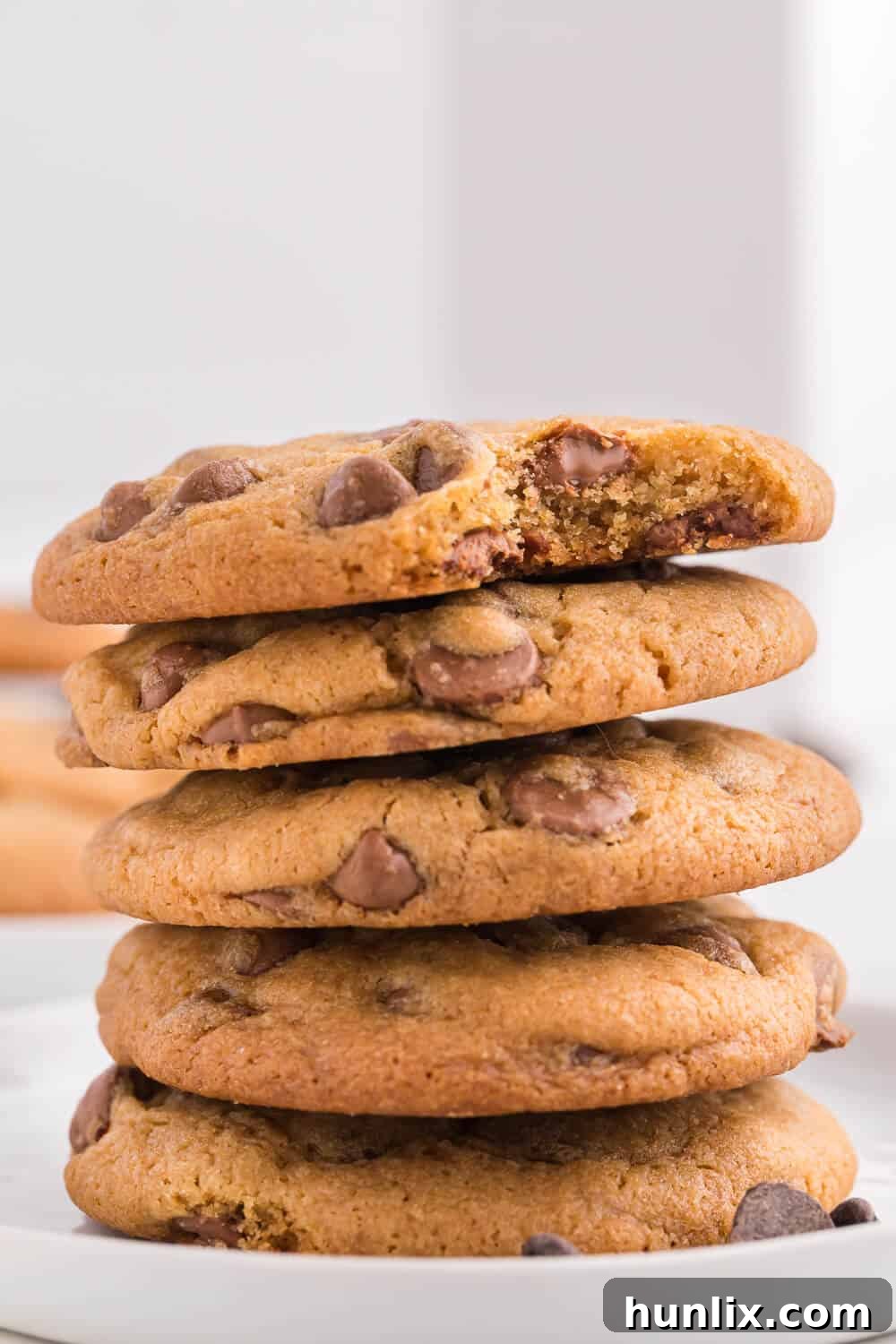 A stack of 5 chocolate chip cookies