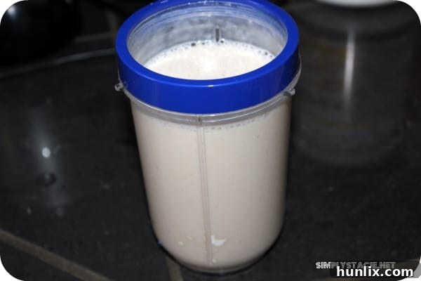 Isagenix 9-Day Deep Cleansing and Fat Burning System Review - Shake Day Meal