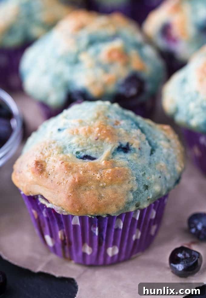 Close-up of freshly baked Blueberry Yogurt Muffins, showing their golden tops and visible blueberries.