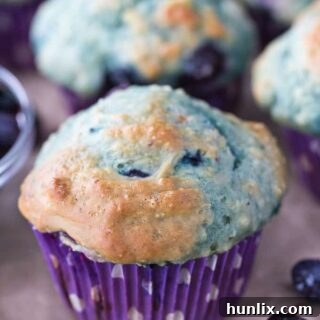 Delicious Blueberry Yogurt Muffins